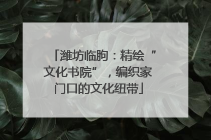潍坊临朐：精绘“文化书院”，编织家门口的文化纽带